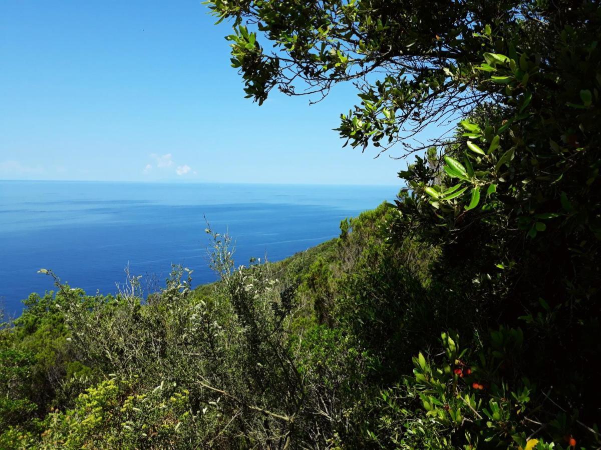 Appartamento Claudi A San Vincenzo Kültér fotó
